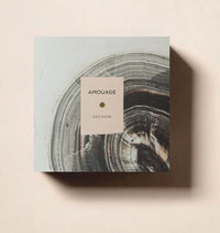 DECISION 100 ML