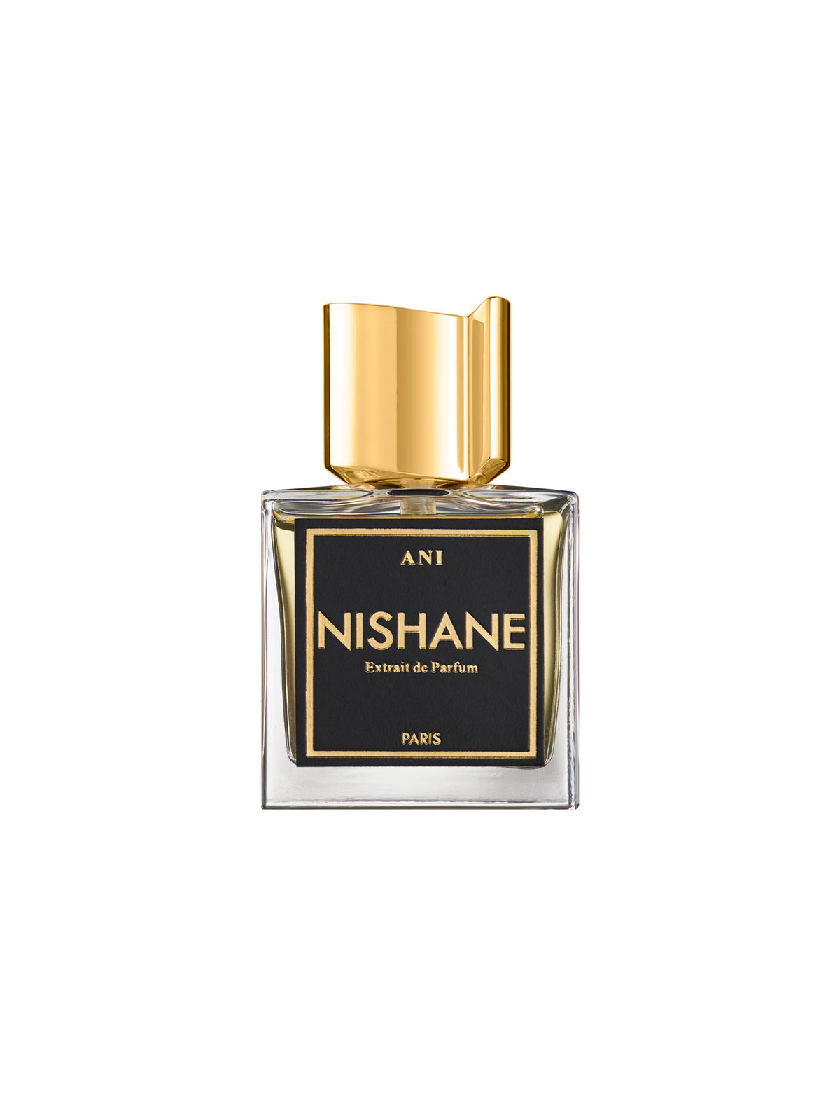 Nishane Ani Extrait De Parfum 100ml