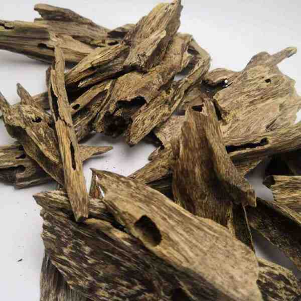 OUD - Indian Agarwood