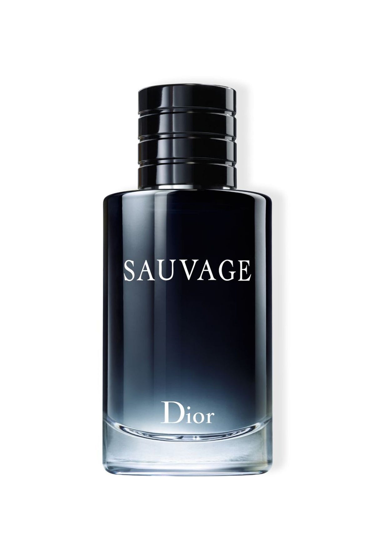 SAUVAGE EDT 100ML - Niche Gallery