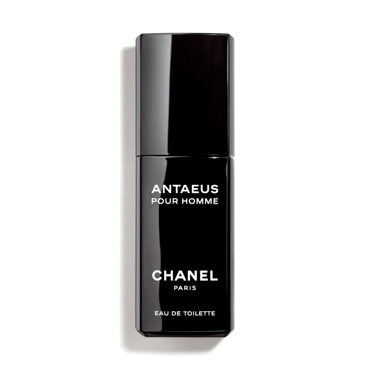 Antaeus - Niche Gallery
