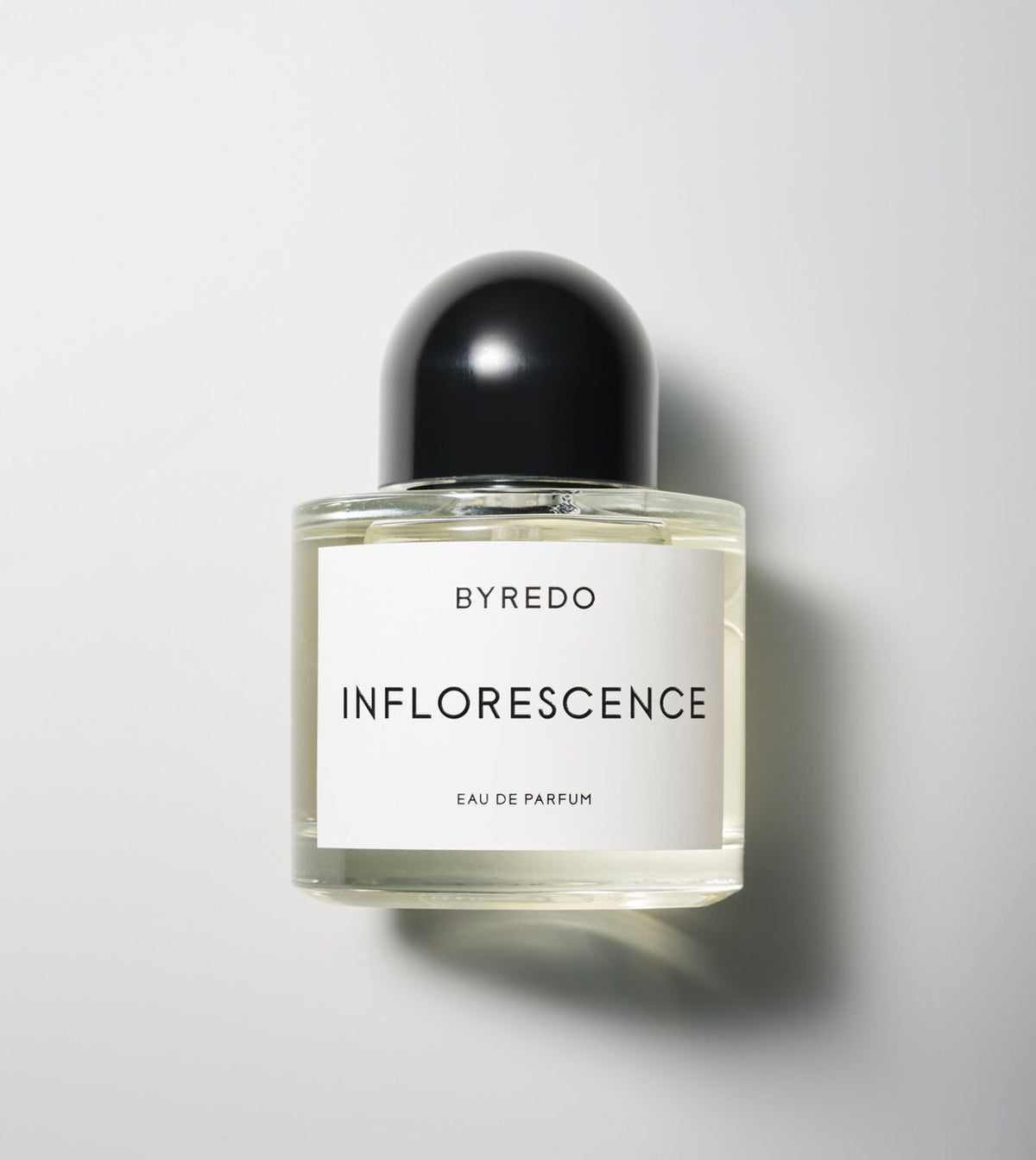 Inflorescence - Niche Gallery