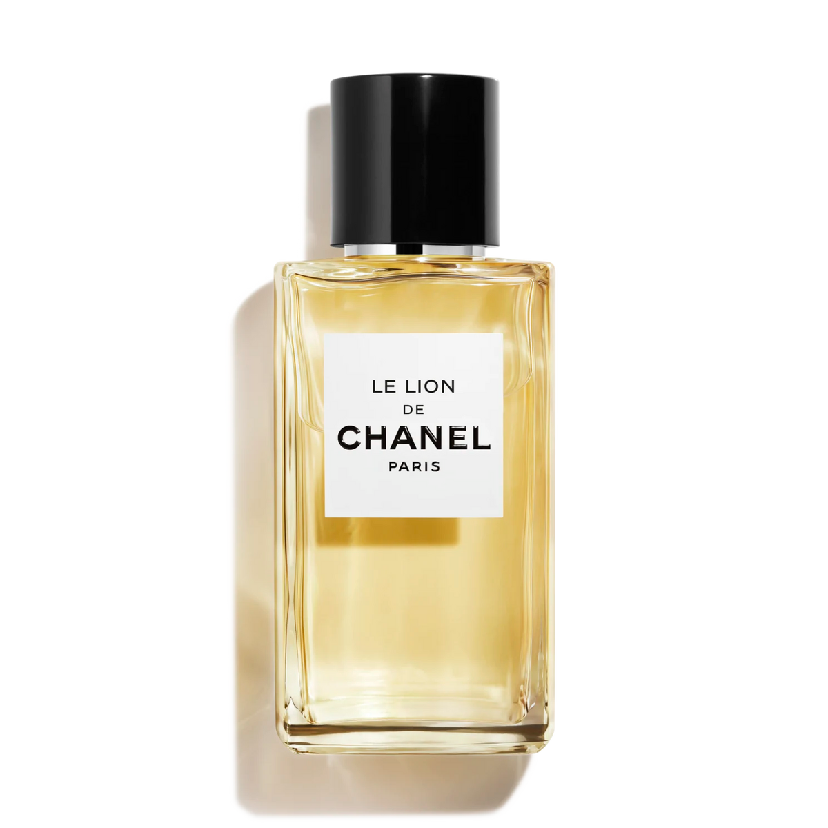 Le Lion De Chanel - Niche Gallery