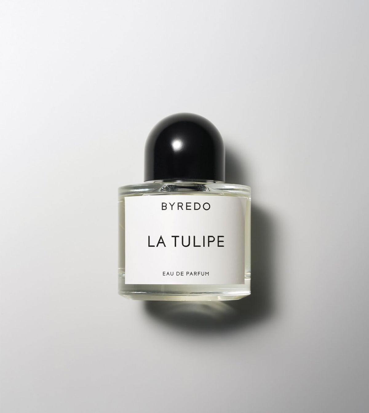La Tulipe - Niche Gallery