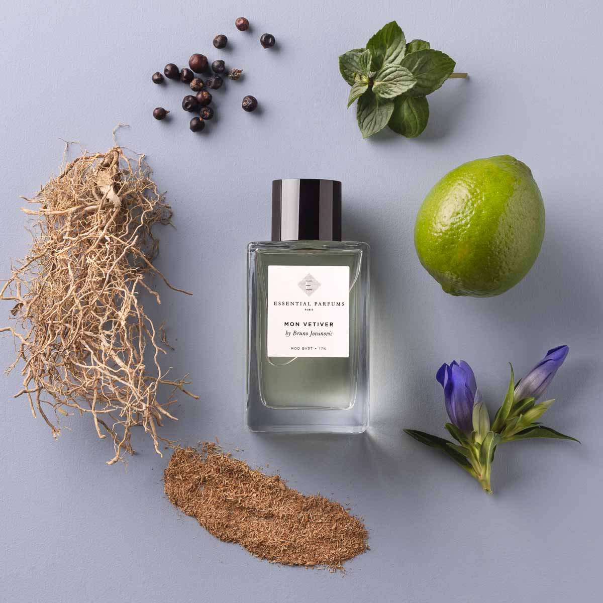 Mon Vetiver - Niche Gallery