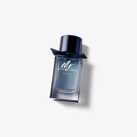 Mr. Burberry Indigo Eau de Toilette - Niche Gallery
