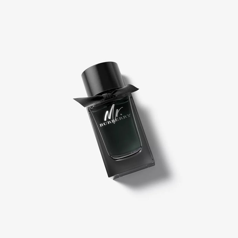 Buy BURBERRY Mr.Burberry edp 150ml by BURBERRY Paris Gallery