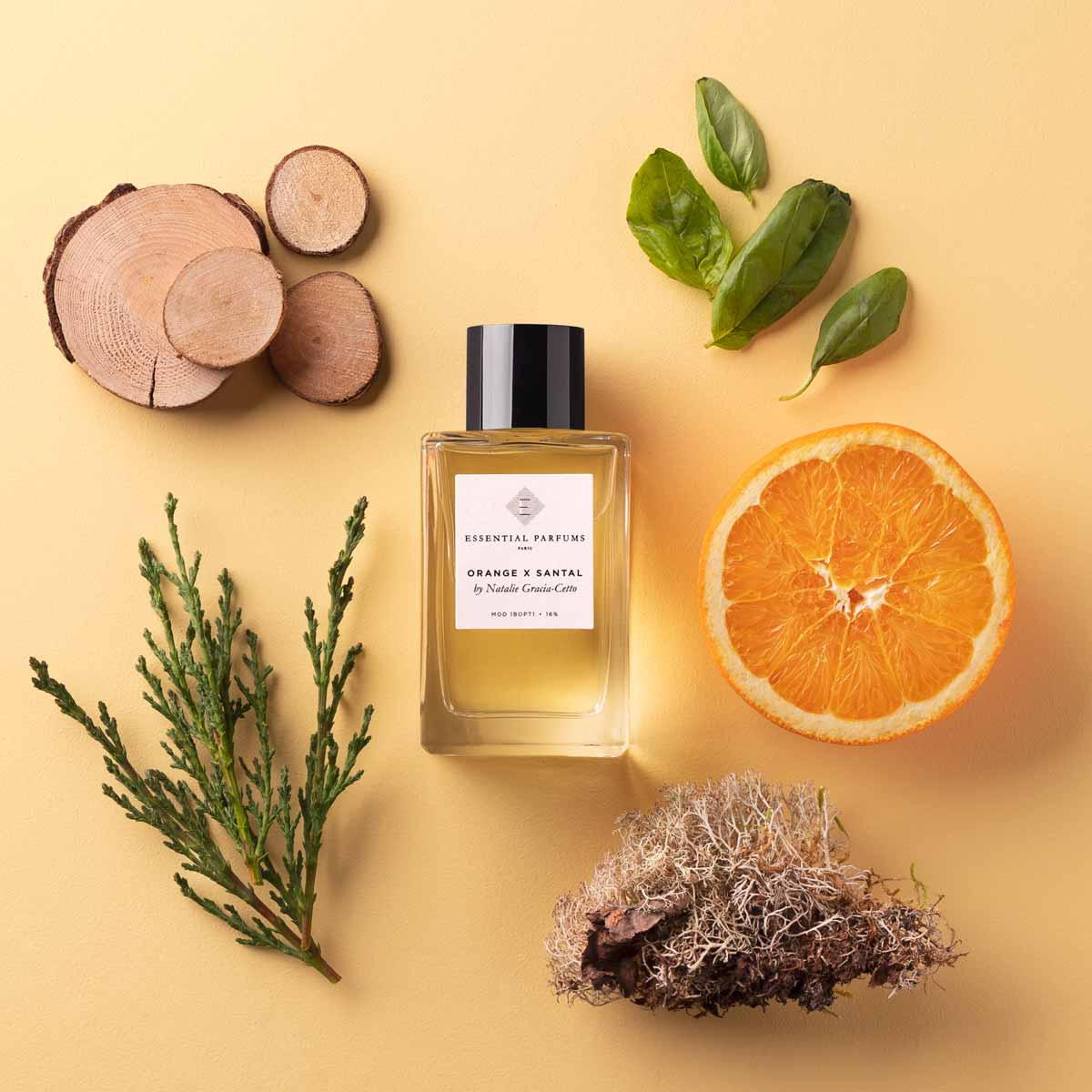 Orange X Santal - Niche Gallery