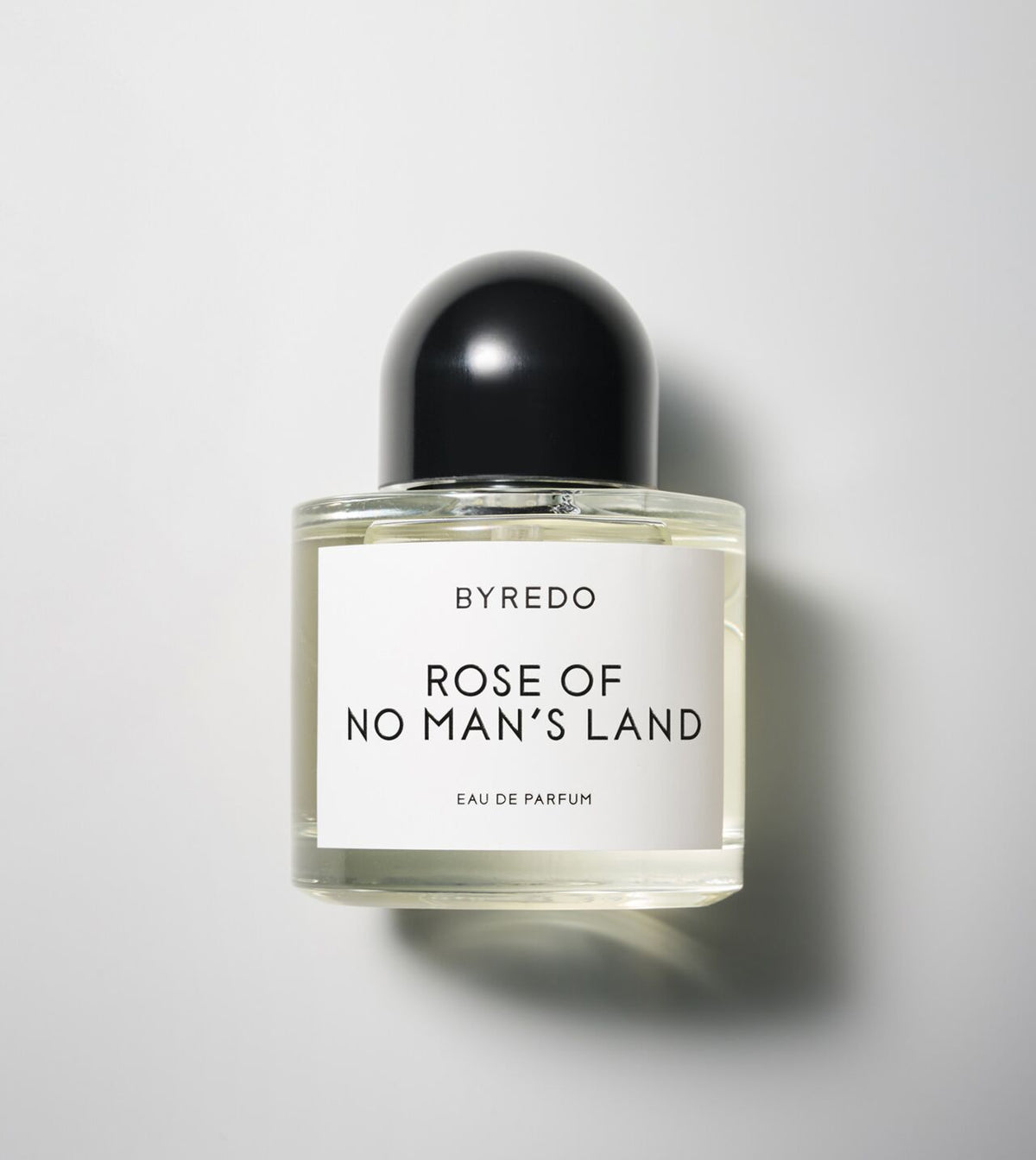 Rose Of No Man's Land - Niche Gallery