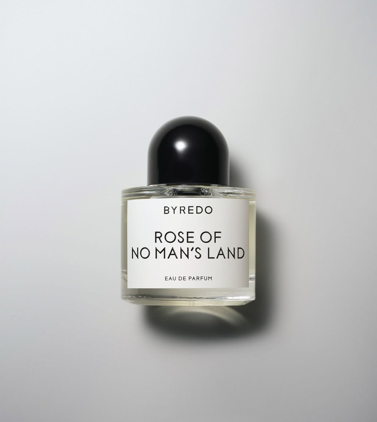 Rose Of No Man's Land - Niche Gallery