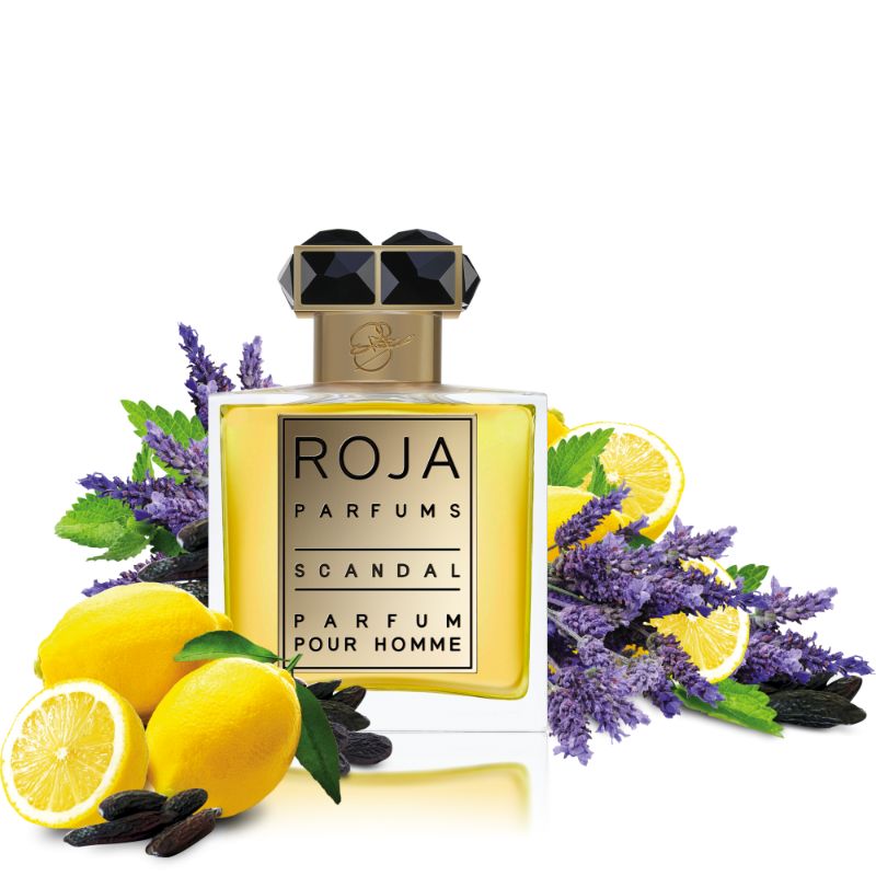 Roja Parfum Scandal parfam Pour Homme 50ml - Niche Gallery