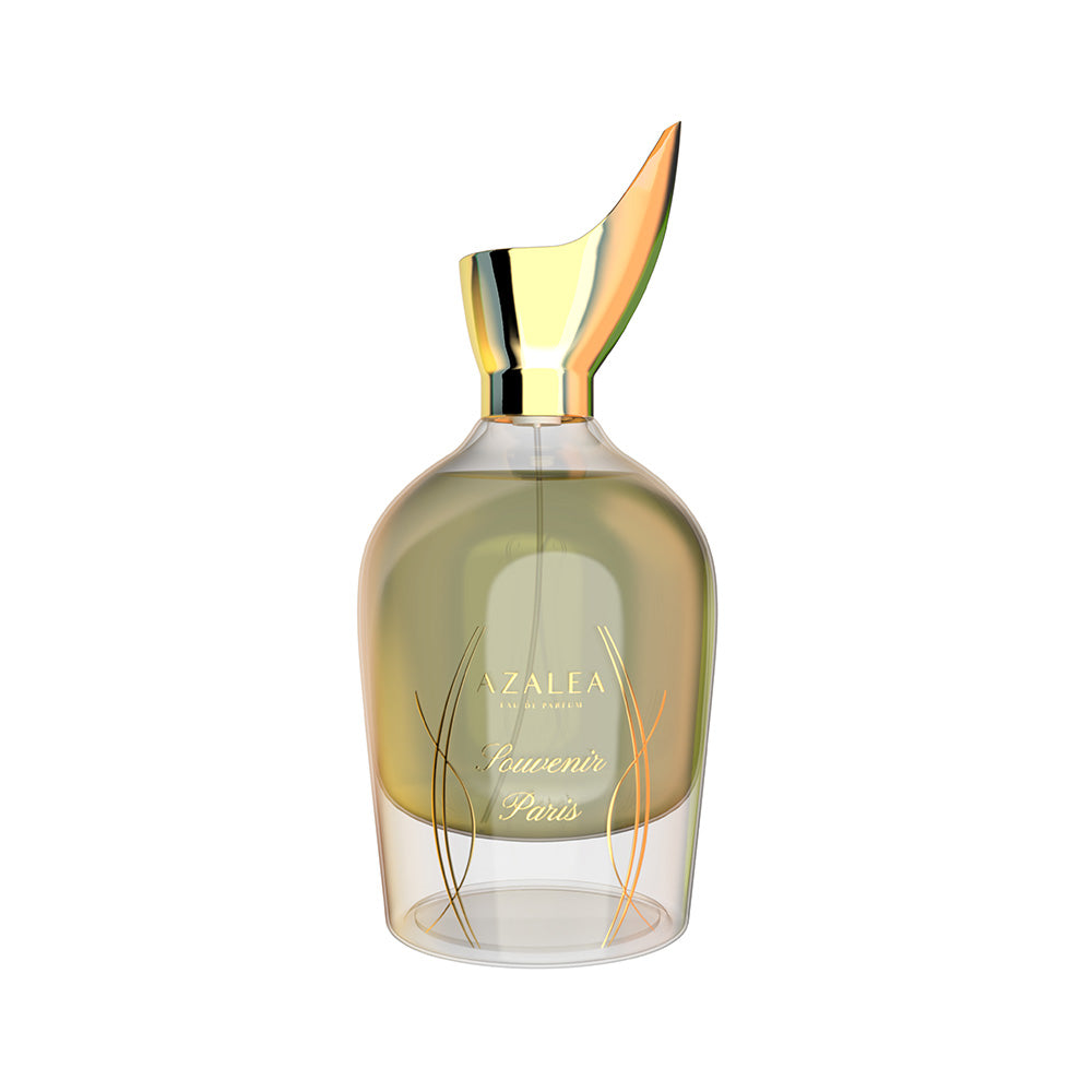 Souvenir Paris EDP 100 ML - Niche Gallery