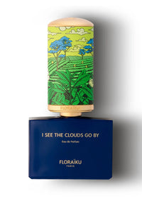 I SEE THE CLOUDS GO BY