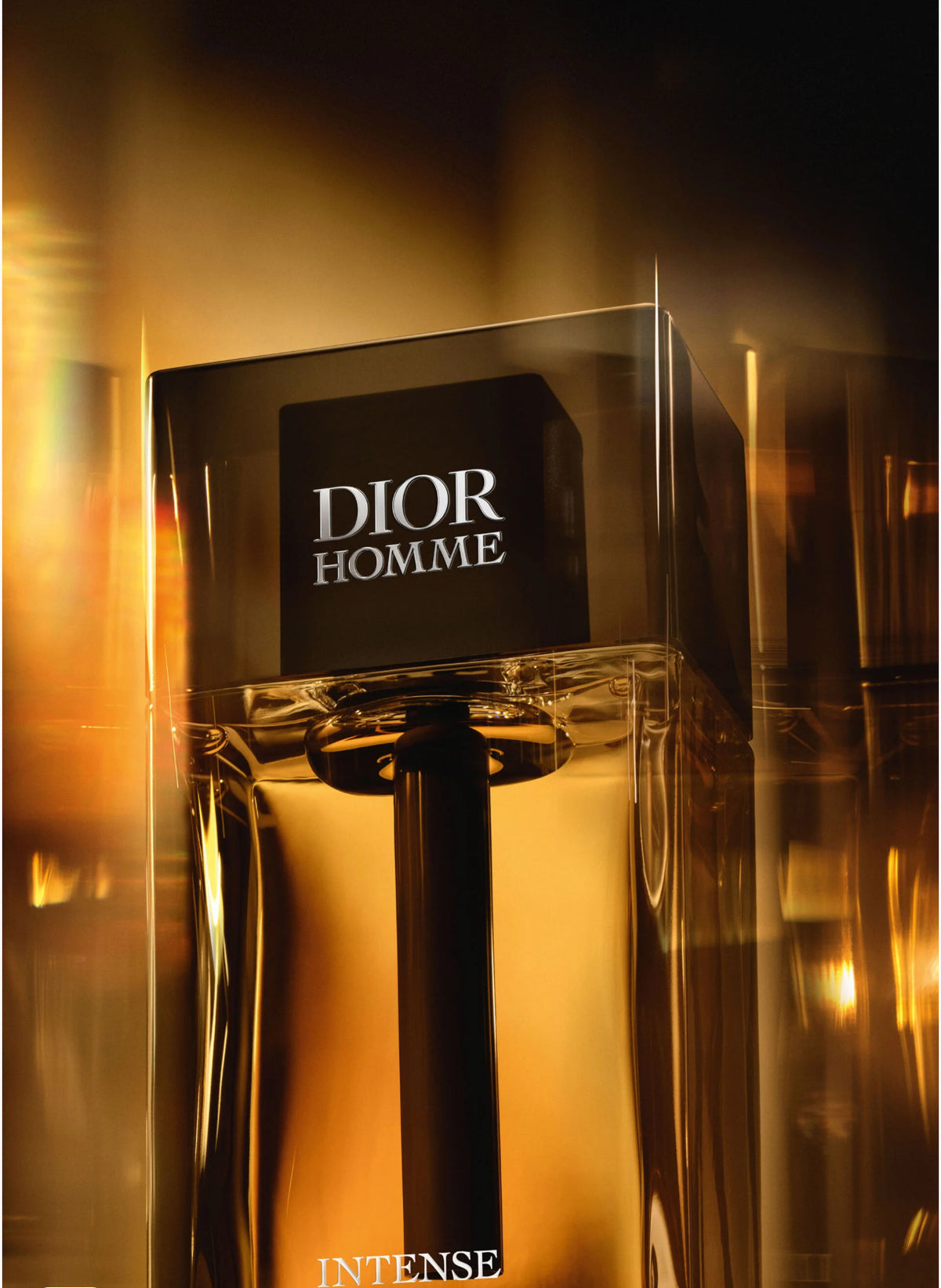 Dior Homme Intense Eau de Parfum 100ml