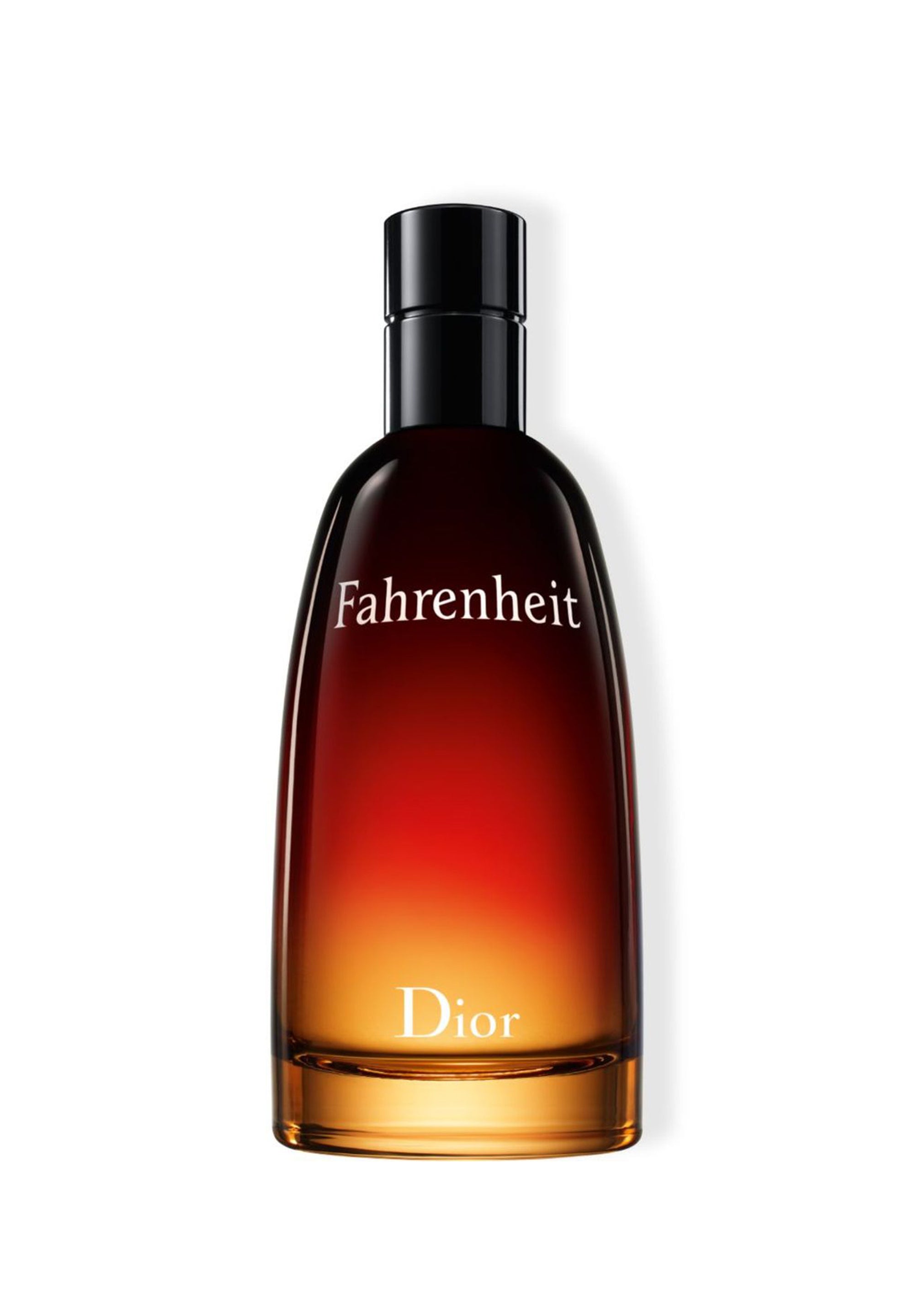 Buy Fahrenheit Eau de Toilette 100ML by CHRISTIAN DIOR|Paris