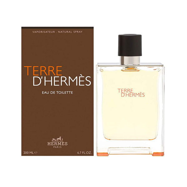 HERMES TERRE D'HERMES (M) EDT 100ML - Niche Gallery