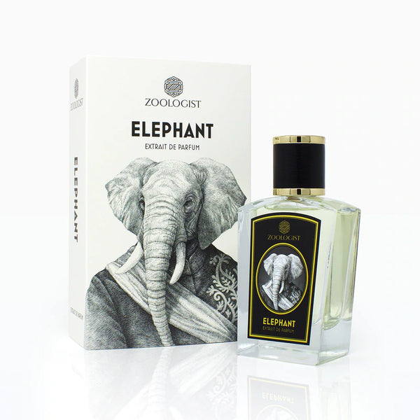 ELEPHANT - Niche Gallery
